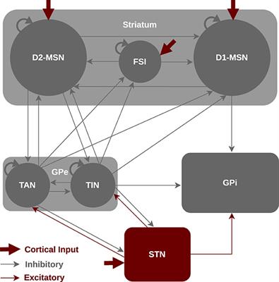 Dynamics of parkinsonian oscillations mediated by transmission delays in a mean-field model of the basal ganglia